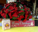 20121223_112804.jpg