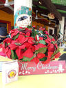20121223_113514.jpg