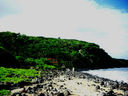 JUNGLE-003.jpg