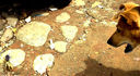boatcrabs-011.jpg