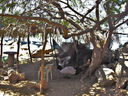 fisherman-in-the-hammock-re.jpg