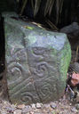 Pretroglyph Carvings