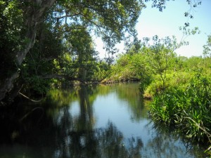 La Tovara